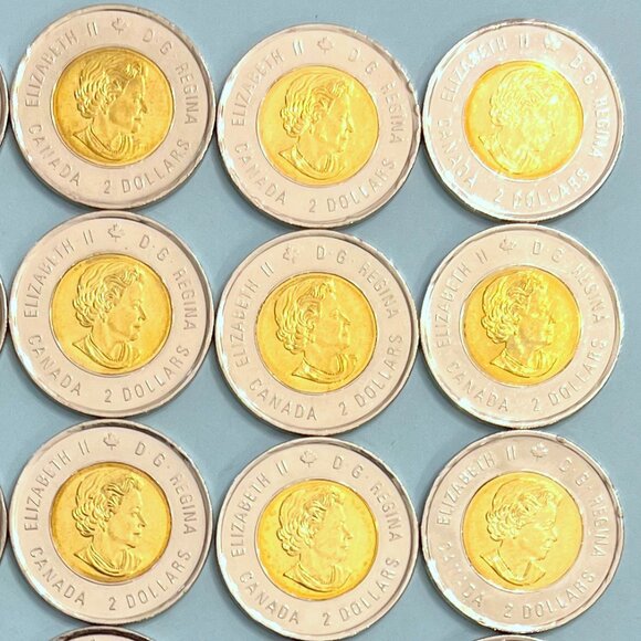 Canada 2018 Coloured 100th Anniversary Armistice 1918-2018 Roll of 25 x $2 Coins - Picture 7 of 16